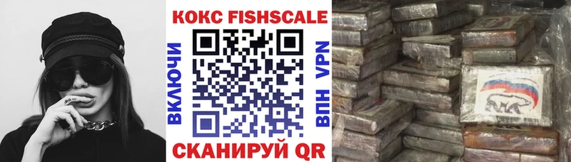 Купить  Мураши  КОКАИН 99% 