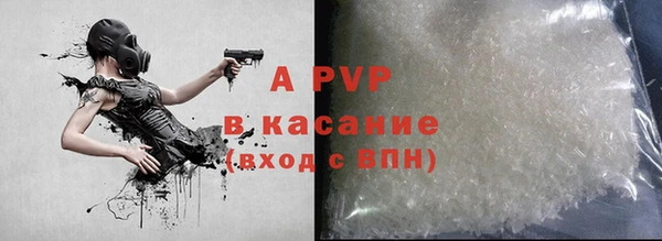 крисы Корсаков