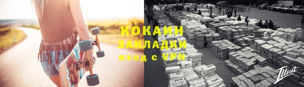 ПСИЛОЦИБИНОВЫЕ ГРИБЫ Кулебаки