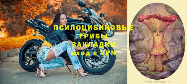 крисы Корсаков