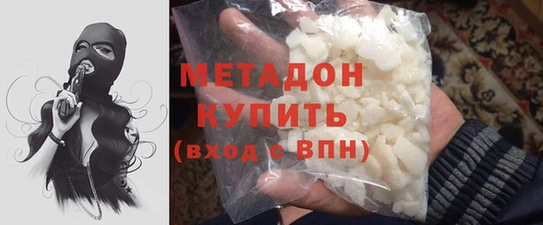 крисы Корсаков