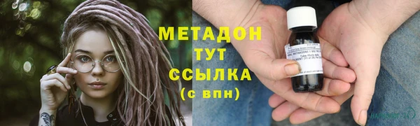 крисы Корсаков
