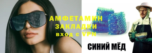 крисы Корсаков