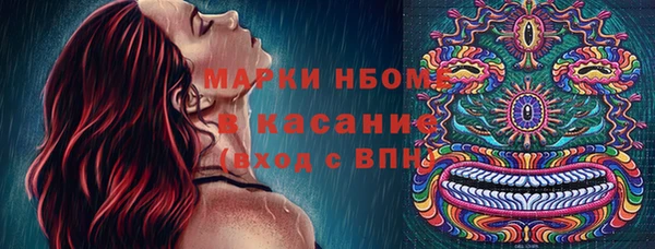 крисы Корсаков