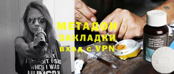 крисы Корсаков