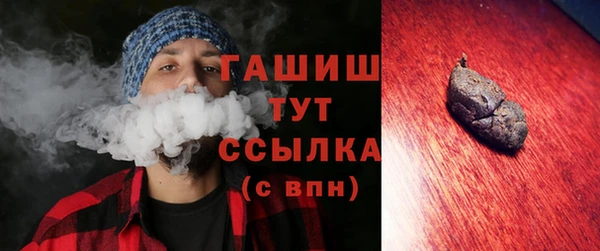крисы Корсаков