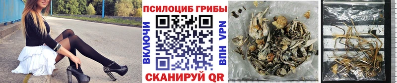 Купить закладки  Мураши  Псилоцибиновые грибы мицелий 